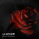 Saxonov feat. Micah Byrnes - Roses