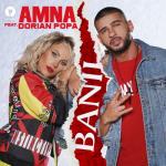 album image Banii Banii (feat. Dorian Popa) - Single