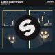 LUM!X & Gabry Ponte - Monster (tornadoDJ Remix)
