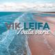Vik Leifa - Toată vara