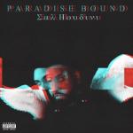 album image Please Don't Blame the Heart Paradise Bound