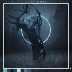 album image Lone Wolf Lone Wolf - Single