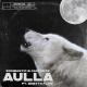 Bombastic, Calyente, Ghetto flow - Aulla