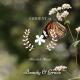 Mind Body Soul Problem Solving Ambient Healing Music, Healing Yoga and Deep Meditation Sounds - Heart Fill With Calmness
