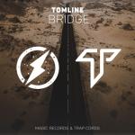 album image Bridge (Magic x Trap Cords Release) Bridge - Single