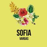 album image Sofia Sofia - Single