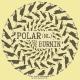 Polar (NL) - Farux