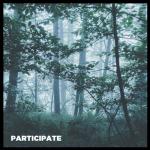 album image Participate Participate - Single