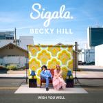 album image Wish You Well Wish You Well - Single