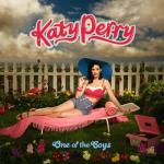 album image Hot N Cold One of the Boys