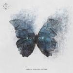 album image Not Ok Not Ok - Single