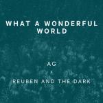 album image What A Wonderful World What a Wonderful World - Single