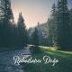 Natural Healing Music Zone - Garden of Launge
