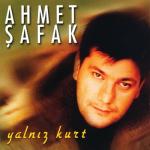 album image Yalnız Kurt Yalnız Kurt