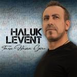 album image Tek Gecerim (TRmusic) Tam Bana Göre
