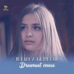 album image Drumul Meu Drumul Meu - Single