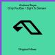 Andrew Bayer - Only You Boy (Extended Mix)