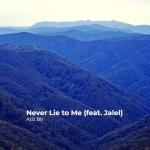 album image Never Lie To Me