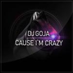 album image Cause I'm Crazy Cause I'm Crazy - Single