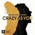 album image Crazy as You Crazy as You - Single
