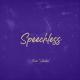 Dolphin Smiling - Speechless (From "Aladdin")