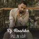 Dj Roshka - Pulun var