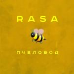 album image RASA - Пчеловод Пчеловод - Single