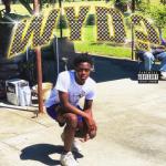album image Wyd ? Wyd ? - Single