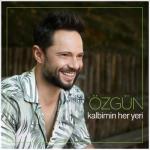 album image Kalbimin Her Yeri Kalbimin Her Yeri - Single