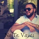 album image No Te Vayas No Te Vayas - Single