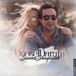 album image Saeed Shayesteh - Dooset Daram OFFICIAL VIDEO HD Dooset Daram - Single