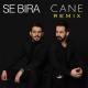 Koma Se Bıra - Cane (Remix)