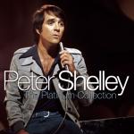 album image Gee Baby The Platinum Collection