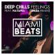 Deep Chills;Natania;Spada - Feelings (Spada Remix)