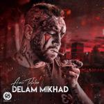 album image Delam Mikhad Delam Mikhad - Single