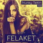 album image Felaket (Elly Remix) Felaket - Single
