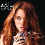 album image The Climb The Time of Our Lives
