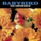 Babybird - Bad Old Man