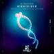 Ultraverse, Anton Borin (RU) - Night Rider