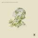 Jacob Gurevitsch - Besame Mucho