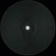 The East Flatbush Project - A Madman's Dream