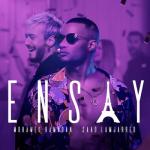 album image Ensay إنساي - Single