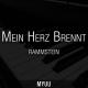 myuu - Mein Herz Brennt (Rammstein Cover)