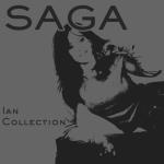 album image The Road to Valhalla(Skrewdriver cover) Ian Collection II
