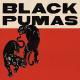 Black Pumas - Colors
