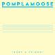 Pomplamoose - bury a friend (Billie Eilish cover)