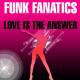 Funk fanatics ft. peyton - love is the answer (freemasons remix)