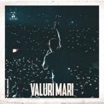 album image Valuri Mari Valuri Mari - Single