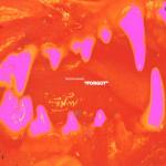 album image Forgot Forgot - Single