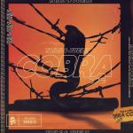 album image Cobra Cobra - Single